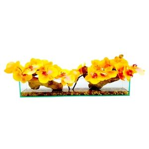 🌺 Phalaenopsi Orchid Floral Arrangements🌺